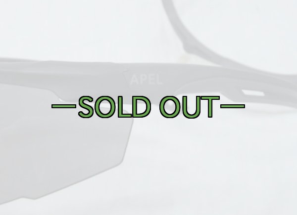 画像4: REVISIONサングラス　STINGER HAWK (4)