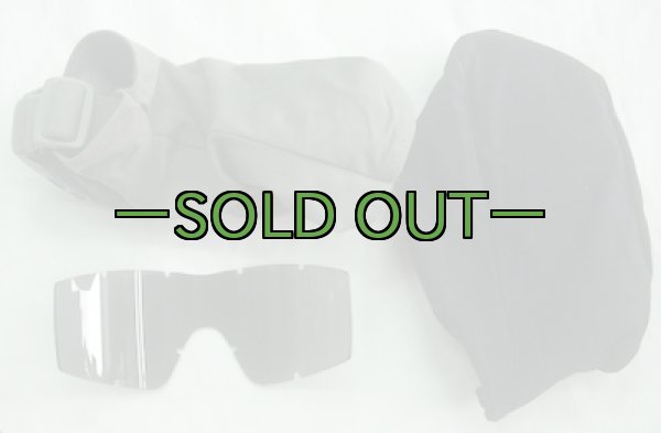 画像2: REVISIONゴーグル　LOCUST　クリアー＆スモークレンズ　FG　APEL (2)