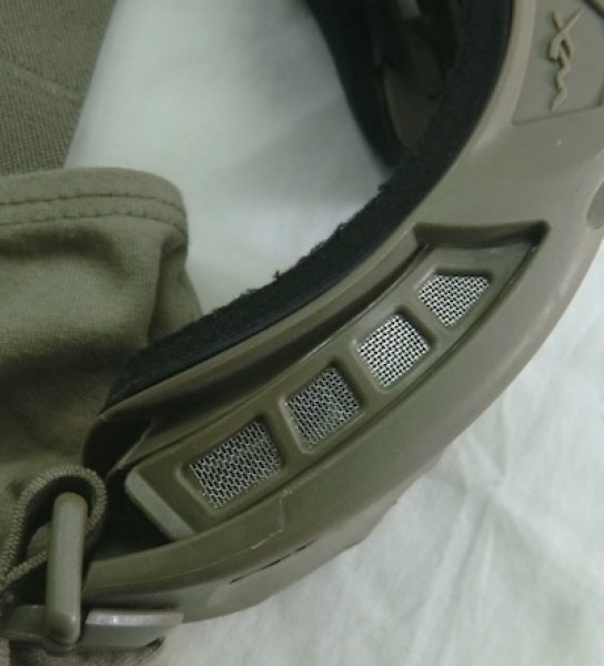 画像10: WILEY-Xゴーグル　スモークレンズ　スピアー　コヨーテ (10)