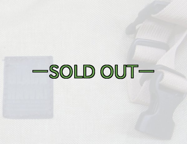 画像3: BHI横長ポーチ　ジッパー付　タン (3)