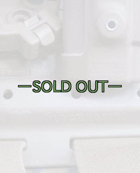 画像3: BHIホルスター　コヨーテ　右　SERPA　ベレッタ　QD (3)