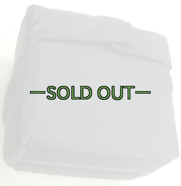 画像2: AN/AVS-9収納ポーチ　クッションパッド入り (2)