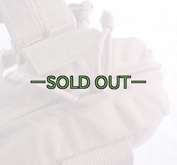 画像4: コヨーテ　レッグメディックポーチ　CAS (4)