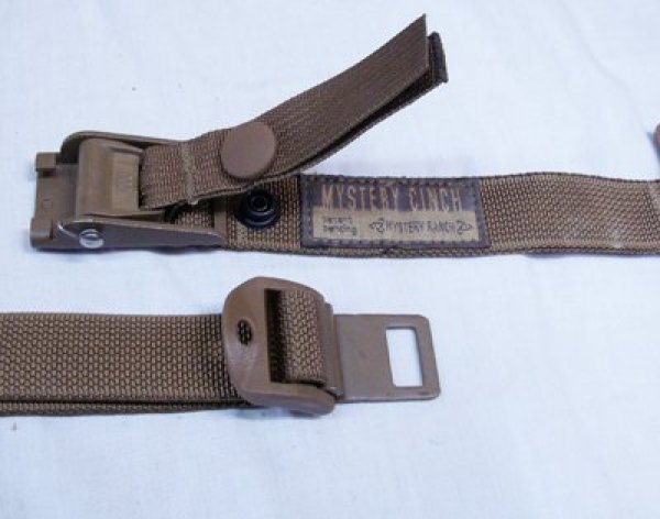 画像5: ミステリーシンチ　コヨーテ (5)