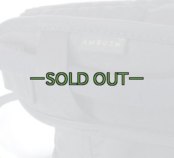 画像3: 黒　キャメルバック　3L　AMBUSH (3)