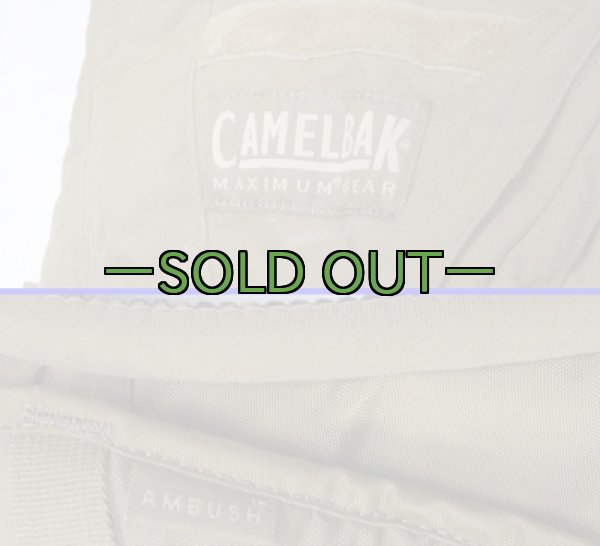 画像3: コヨーテ　キャメルバック　3L　AMBUSH (3)