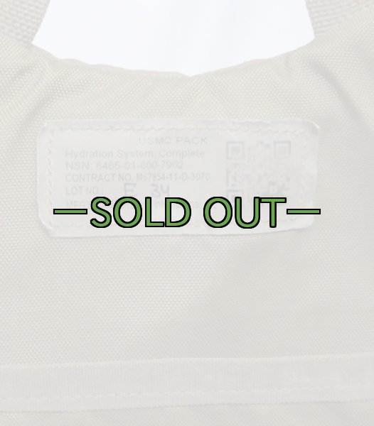 画像3: コヨーテ　キャメルバック　3L　USMC PACK (3)