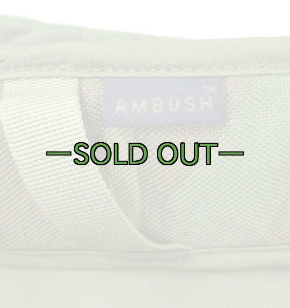 画像3: ウッドランド　キャメルバック　水袋なし　AMBUSH (3)