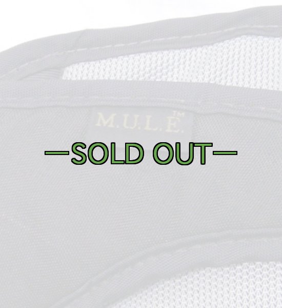 画像3: 黒　キャメルバック　3L　MULE　旧型 (3)