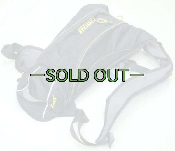 画像3: 黒　キャメルバック　1.5L　DART (3)