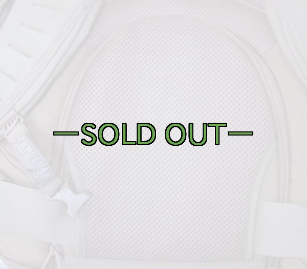 画像12: コヨーテ　キャメルバック　SKIRMISH　500D　リップストップ (12)