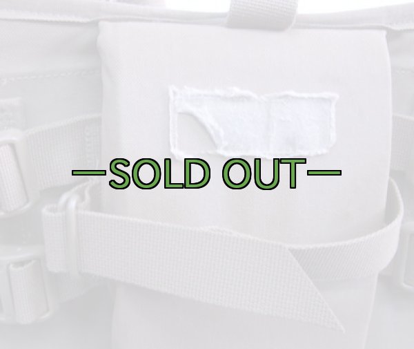 画像10: コヨーテ メインリュック用ヒップベルト　USMC PACK (10)