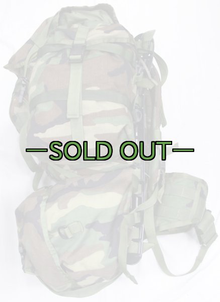 画像3: MOLLE 2　メインパックセット　ウッドランド (3)