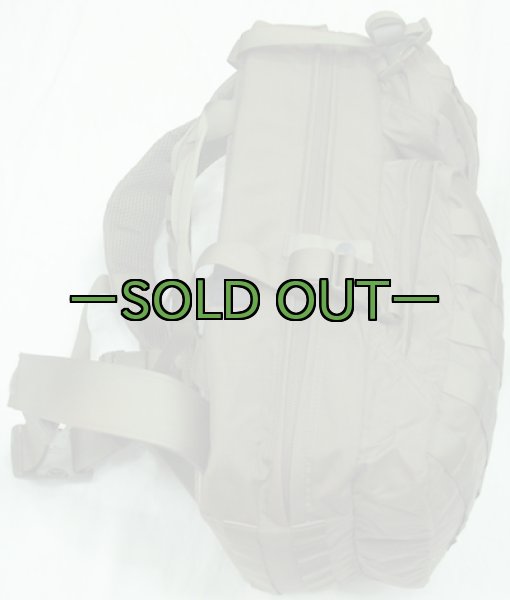 画像4: スウェーデン軍　アサルトパック　RG (4)