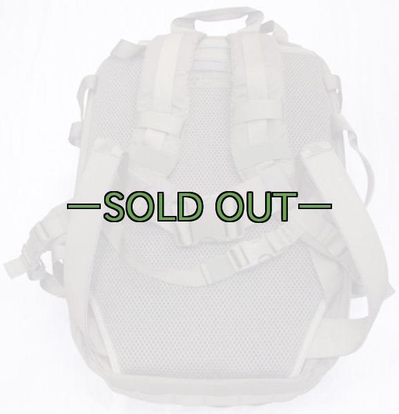 画像9: スウェーデン軍　アサルトパック　RG (9)