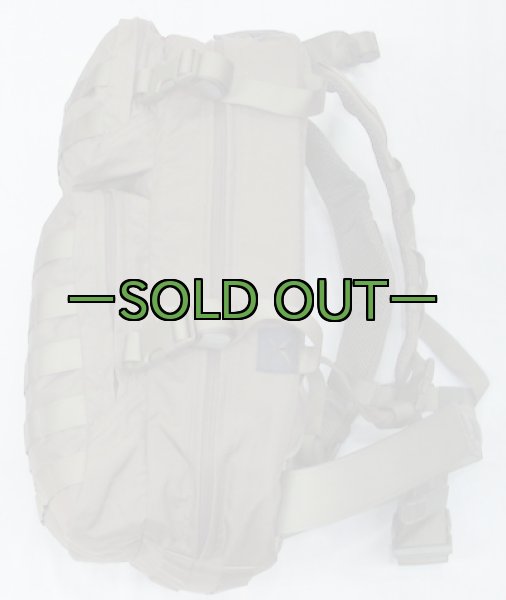 画像3: スウェーデン軍　アサルトパック　RG (3)