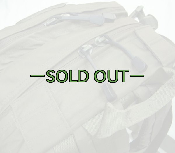 画像5: スウェーデン軍　アサルトパック　RG (5)