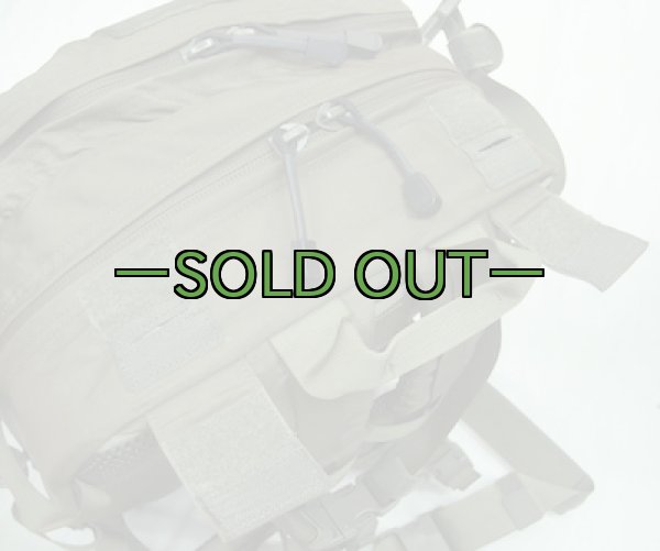 画像6: スウェーデン軍　アサルトパック　RG (6)