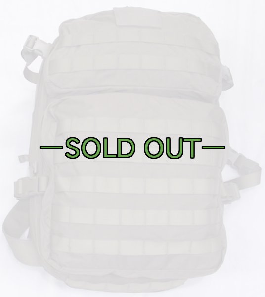 画像1: スウェーデン軍　アサルトパック　RG (1)