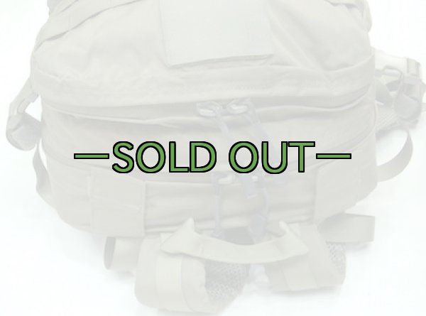 画像7: スウェーデン軍　アサルトパック　RG (7)