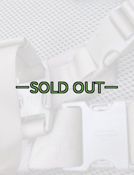 画像12: スウェーデン軍　アサルトパック　RG (12)