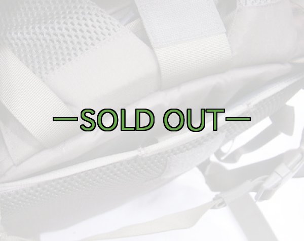 画像11: スウェーデン軍　アサルトパック　RG (11)