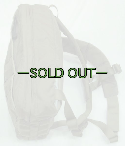 画像2: スウェーデン軍　メディックパック　RG (2)