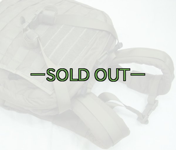 画像4: スウェーデン軍　メディックパック　RG (4)