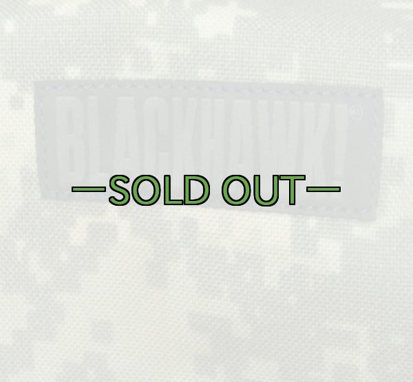 画像3: BHI SOFバックパック　ACU　極上品 (3)