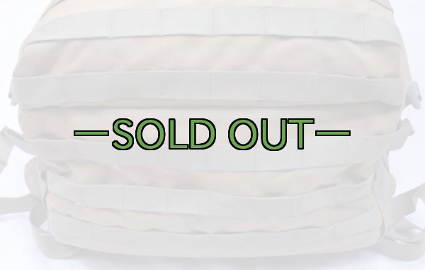 画像10: BHI バックパック　デザート系　メディック　中古良品 (10)