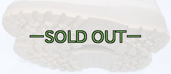 画像5: デザート　ゴアテックス　ブーツ　10.5R　新品同様　ROCKY 7900 (5)