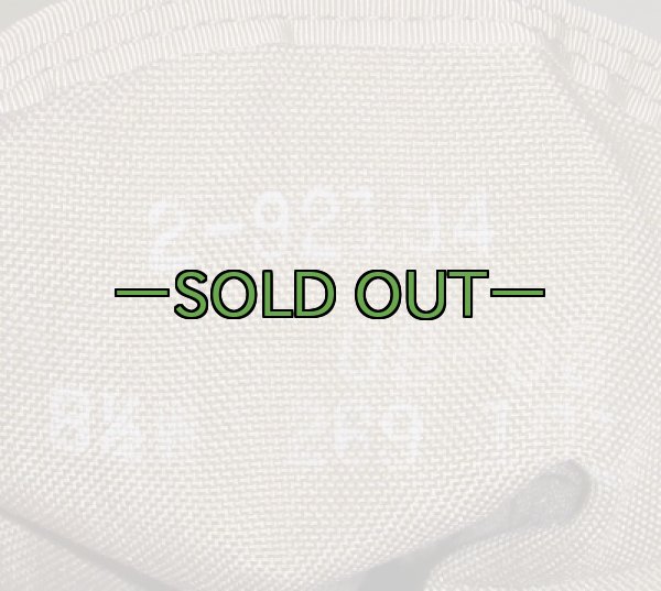 画像3: デザートブーツ 8-1/2W 中古上 WELLCO (3)