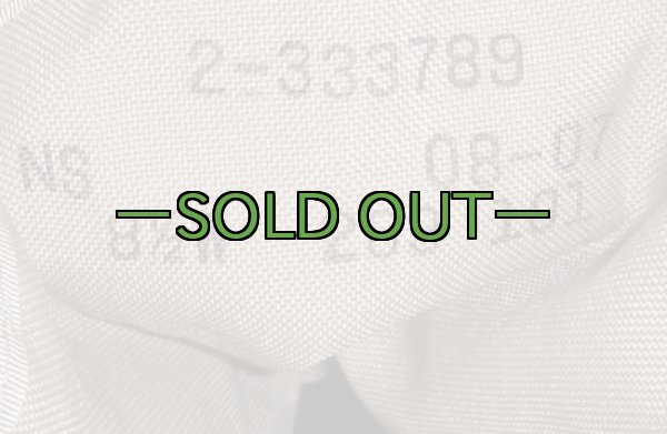 画像3: デザートブーツ　8-1/2W　中古良品　WELLCO (3)