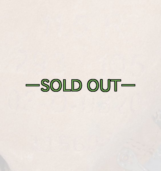 画像3: デザート　ゴアテックス　ブーツ　11.5R　中古上　Wellco (3)