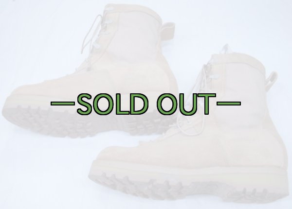 画像2: デザート　ゴアテックス　ブーツ　11.5R　中古上　Wellco (2)