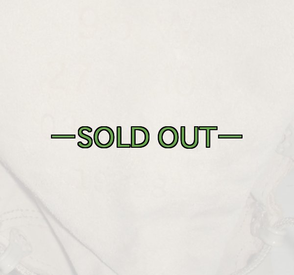 画像3: デザート ゴアテックス ブーツ 9.5W 中古良品 Wellco (3)