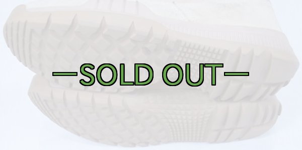 画像4: タクティカル ブーツ　10.5　中古良品　NIKE　デザート (4)