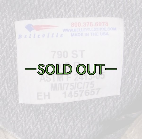 画像3: デザート　ゴアテックス　ブーツ　9.5R　中古良品　790ST　BELLEVILLE (3)