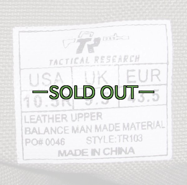 画像3: タクティカル ブーツ　10.5R　極上品　TACTICAL RESEARCH　TR103 (3)