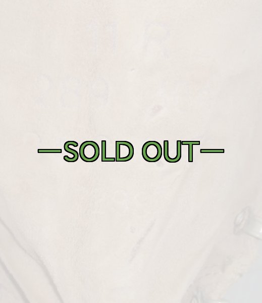 画像3: デザート　ゴアテックス　ブーツ　11R　中古良品　Wellco (3)