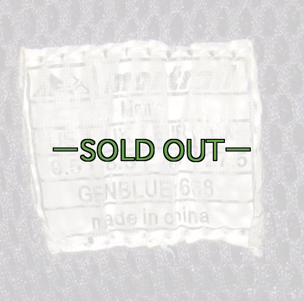 画像4: モントレイルブーツ　Blue Ridge　9.5　中古良品 (4)