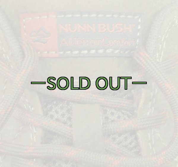 画像4: ノンブッシュ　シューズ　Drumlin (4)