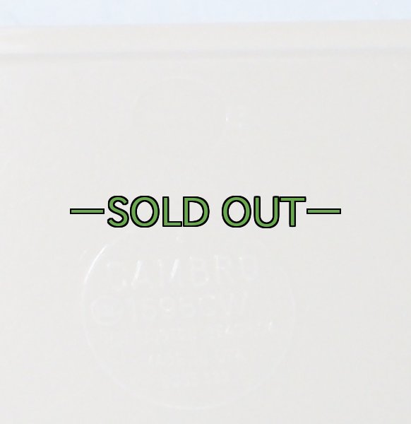 画像2: メストレー CAMBRO プラスティック製 (2)