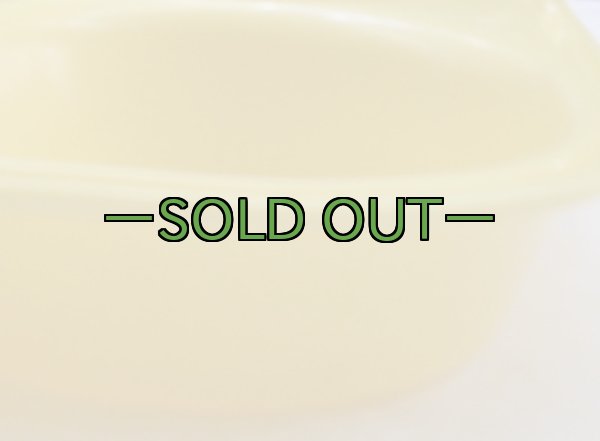 画像3: メストレー　DURALUX　プラスティック製 (3)