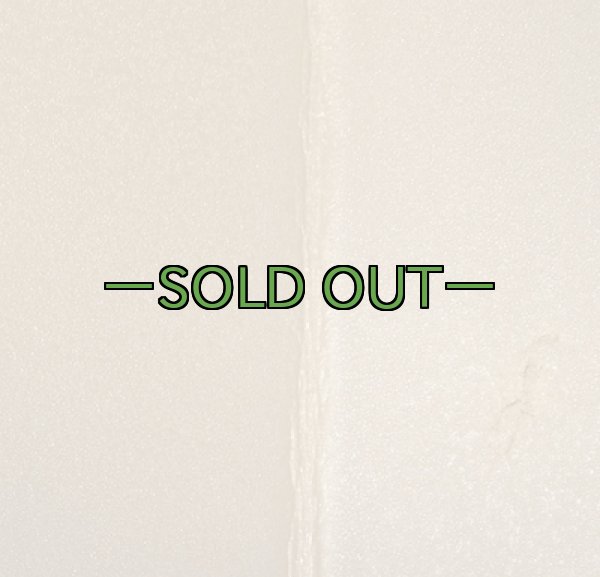 画像5: スリーピングマット　サーマレスト　コヨーテ (5)