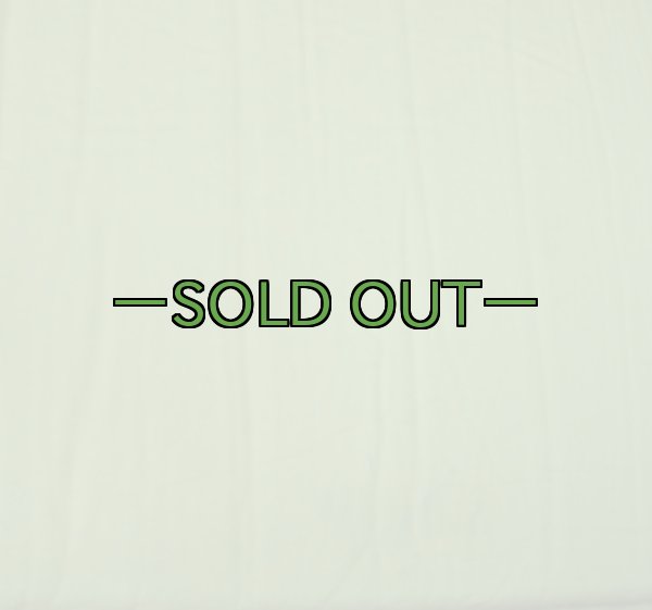 画像8: エアースリーピングマット　OD　WENZEL (8)