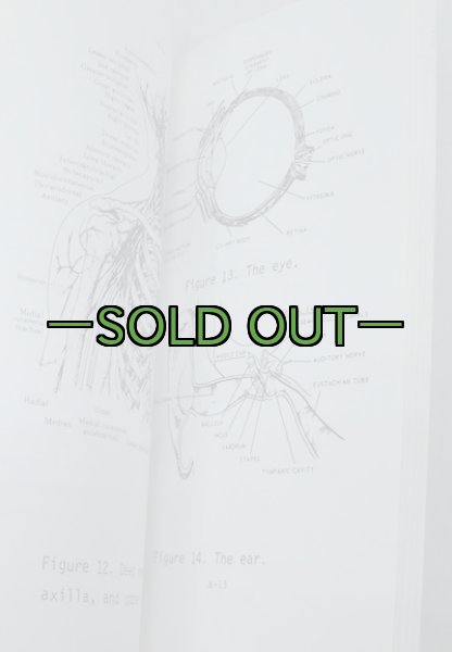 画像4: グリンベレー　メディカルハンドブック　ST31-91B (4)