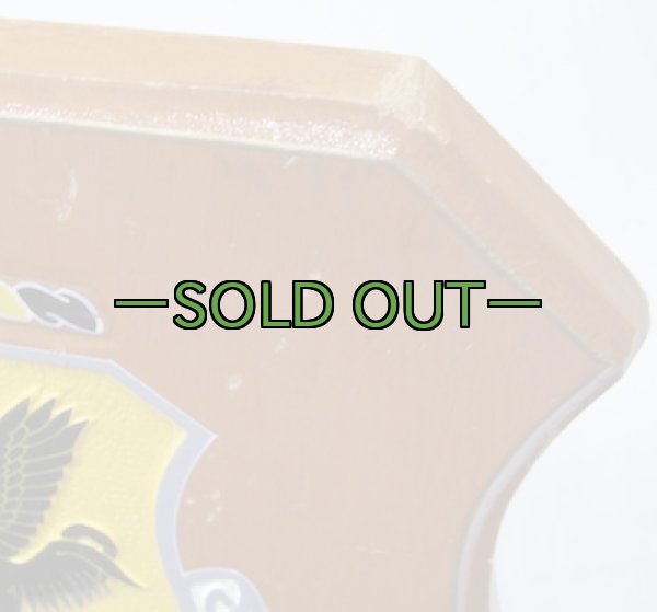 画像3: プラーク　18th TACTICAL FIGHTER WING　02 (3)