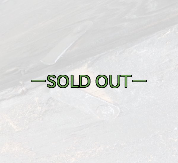 画像28: 軍用木箱　FOOT LOCKER　中古並　60年代 (28)