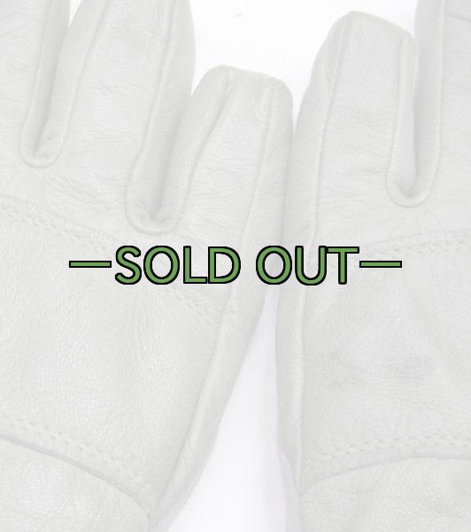 画像4: ICWグローブ　ACU　FG (4)